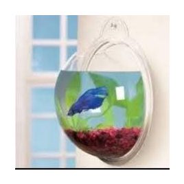 Akvariu cu bule de perete