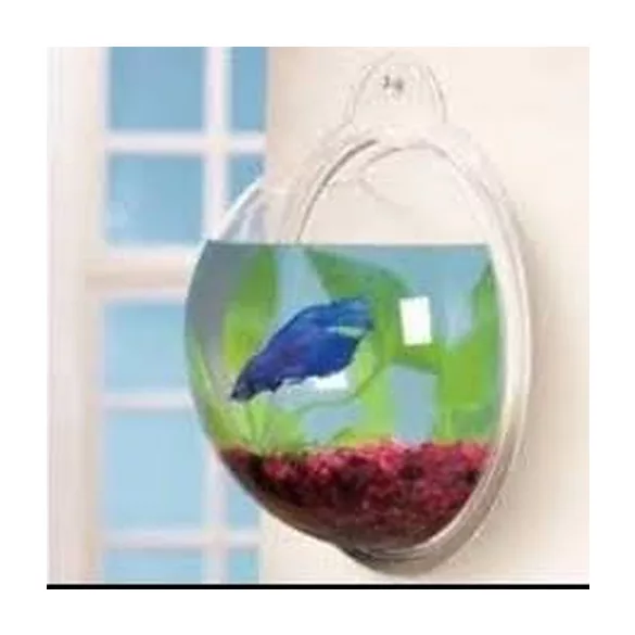 Akvariu cu bule de perete