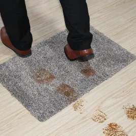 Covoraș de intrare, covor absorbant, covoraș magic