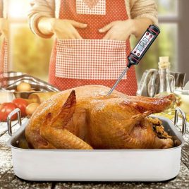   Termometru pentru alimente, termometru de bucătărie (digital)