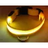 LED zgardă câine luminoasă
