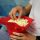 Mașină de făcut popcorn, aparat de făcut floricele de porumb