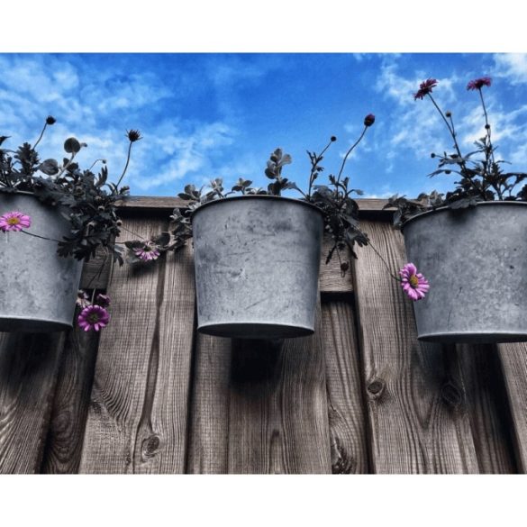 Ghiveci zincat cu cârlig 8x9,5x10 cm