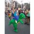 Costum Dinozaur