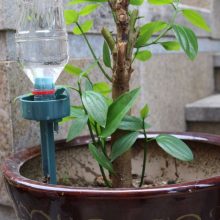 Irigare prin picurare