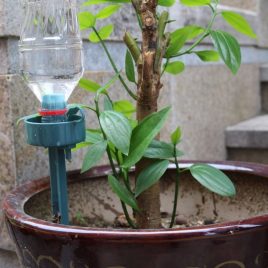 Dispozitiv automat de picurare reglabil