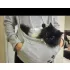 Pulover transport pisici, hanorac pentru pisici