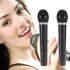 Set karaoke cu 2 microfoane (wireless)