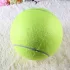 Minge de tenis uriașă pentru câini (24 cm)