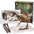 Set arheologic cu dinozauri