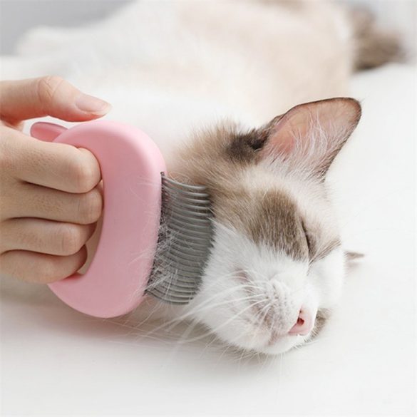 Perie și pieptene pentru blana de pisică