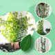 Clipsuri autocolante pentru fixarea plantelor cățărătoare în formă de frunză (10 bucăți)