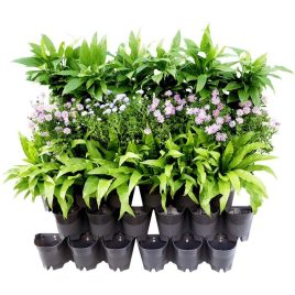 Suport de Flori de Perete