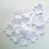 Alb