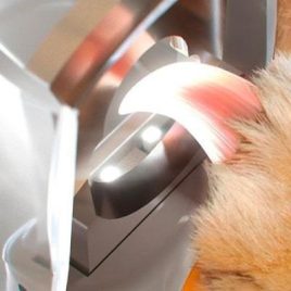 Foarfecă pentru unghii de animale mici