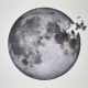 Puzzle 1000 de piese