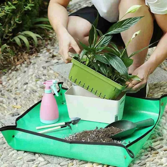 Covor de grădină pentru plantare