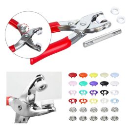 Set de Brevete (100 buc)