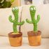 Cactus vorbitor și dansator, jucărie interactivă