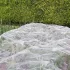 Plasă ultra fină pentru protecția plantelor împotriva dăunătorilor