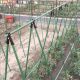 3 buc Conector, clemă pentru suport de plante cățărătoare