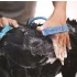 Perie de spălat și masaj pentru animale de companie