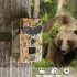 Cameră pentru animale sălbatice
