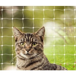 Plasă pentru pisici