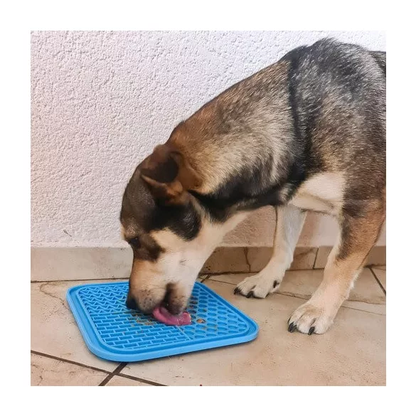 Purlov - Farfurie linguroasă pentru câini