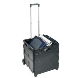 Cutie de depozitare pliabilă cu roți