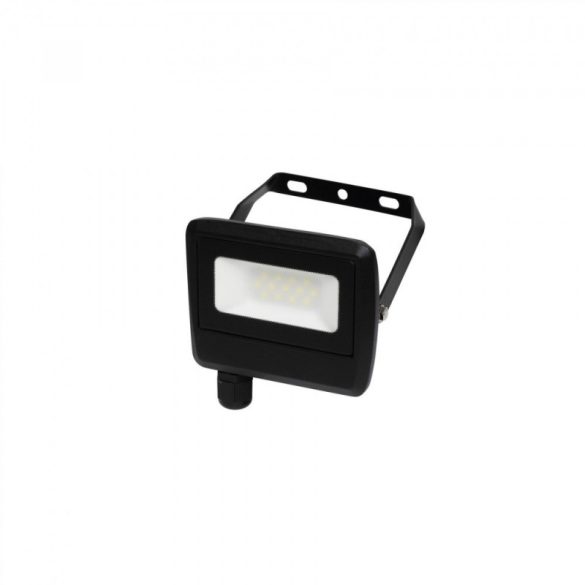 Proiector LED, 10 W, 800 lm, IP65