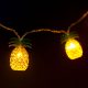 Family ghirlandă LED - ananas - 1,65 m - 10 LED - alb cald - 2 x AA