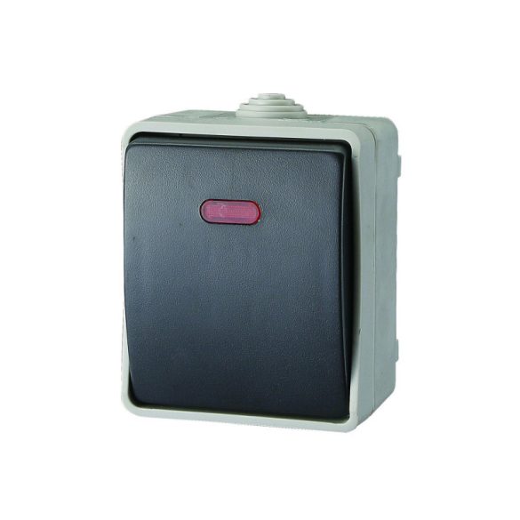 AQUATOP 9877H întrerupător de perete, 1 basculant, 10 A, IP54, gri, cu indicator luminos