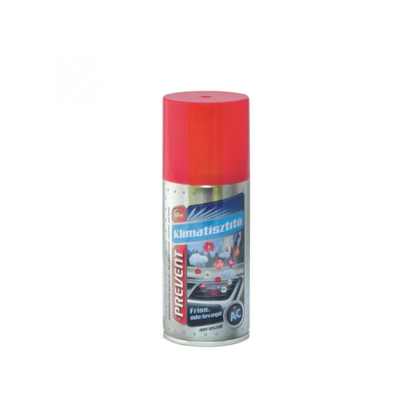 Home TEO1712 spray de curățare aer condiționat, 150 ml