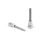 FORTUM bit driver, imbus, 1/2', lung, 61CrV5/S2, crom mat; 6mm (HX6), 100mm FORTUM