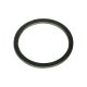 garnitură de cauciuc hollander 2'; (42×52×2mm), pentru pompă 8895101