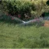 Hunter Spray duză irigare bandă SS-518 - 2,7 × 5,5 m - mijlocul laturii lungi - albastru închis - extra eficientă