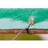 NEO TOOLS Colier cablu, legătură rapidă, EXTREME, rezistent UV, negru, 3,6x150mm, 100buc/pac 01-626