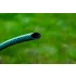 VERTO Furtun de grădină 20 m, 1/2", ECONOMIC, verde 15G800
