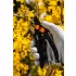 NEO TOOLS Mănuși de lucru, mănuși rezistente la tăiere, cu strat PU, 4X43D, 8" 97-609-8