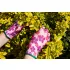 VERTO Mănuși de grădinărit, poliester, model floral, 9", CAT I. 97H148