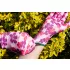 VERTO Mănuși de grădinărit, poliester, model floral, 9", CAT I. 97H148