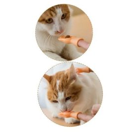   Mâini amuzante mini pentru degete, pentru stăpânii de pisici