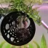 Ascunzătoare pentru pești - decorațiune acvariu din material PP pentru pești mici și creveți - habitat cilindric plutitor cu adeziv
