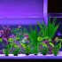10 buc Accesorii acvariu Plante verzi