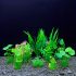 10 buc Accesorii acvariu Plante verzi