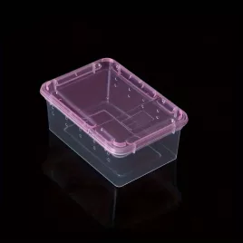 Transportor transparent pentru reptile