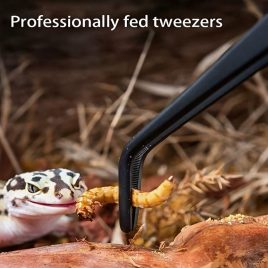   Pensetă sigură pentru amfibieni, din oțel inoxidabil, pentru hrănire și curățare