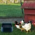 Bol automat de apă pentru animale de companie în aer liber