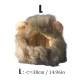 Coamă de leu pentru câini și pisici